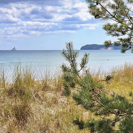 Haus Stubnitz Haus Stubnitz 